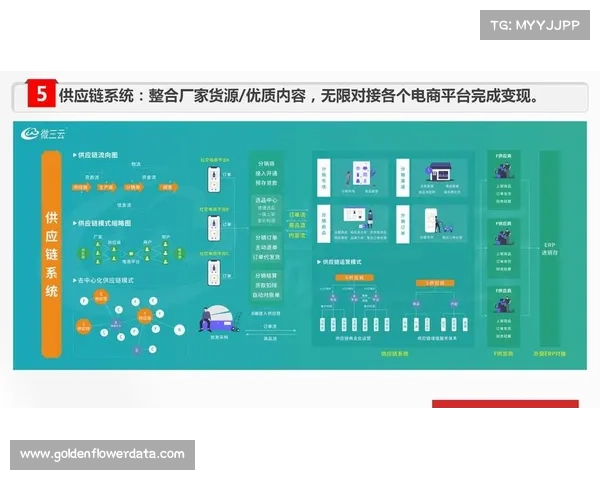 球迷文化多样化发展推动线上线下社群紧密连接与互动创新 球迷文化多样化发展推动线上线下社群紧密连接与互动创新