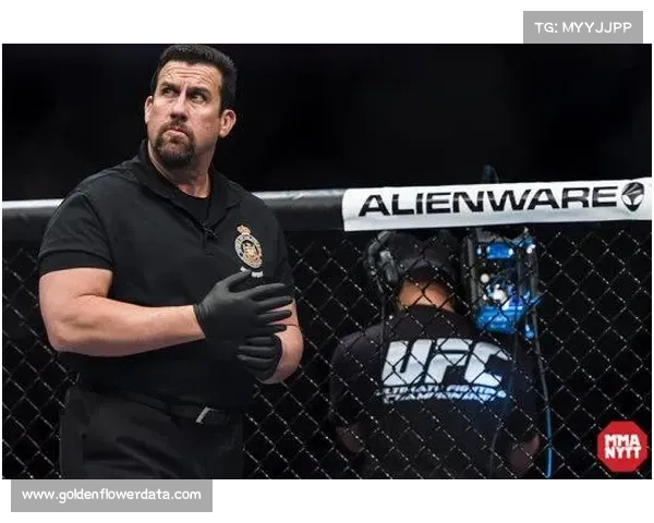 麦卡锡宣布重返裁判界 全职执法再战赛场